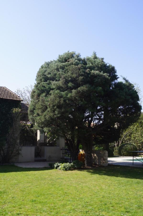 Domaine De La Girafe Bed and Breakfast Eyragues Exteriör bild